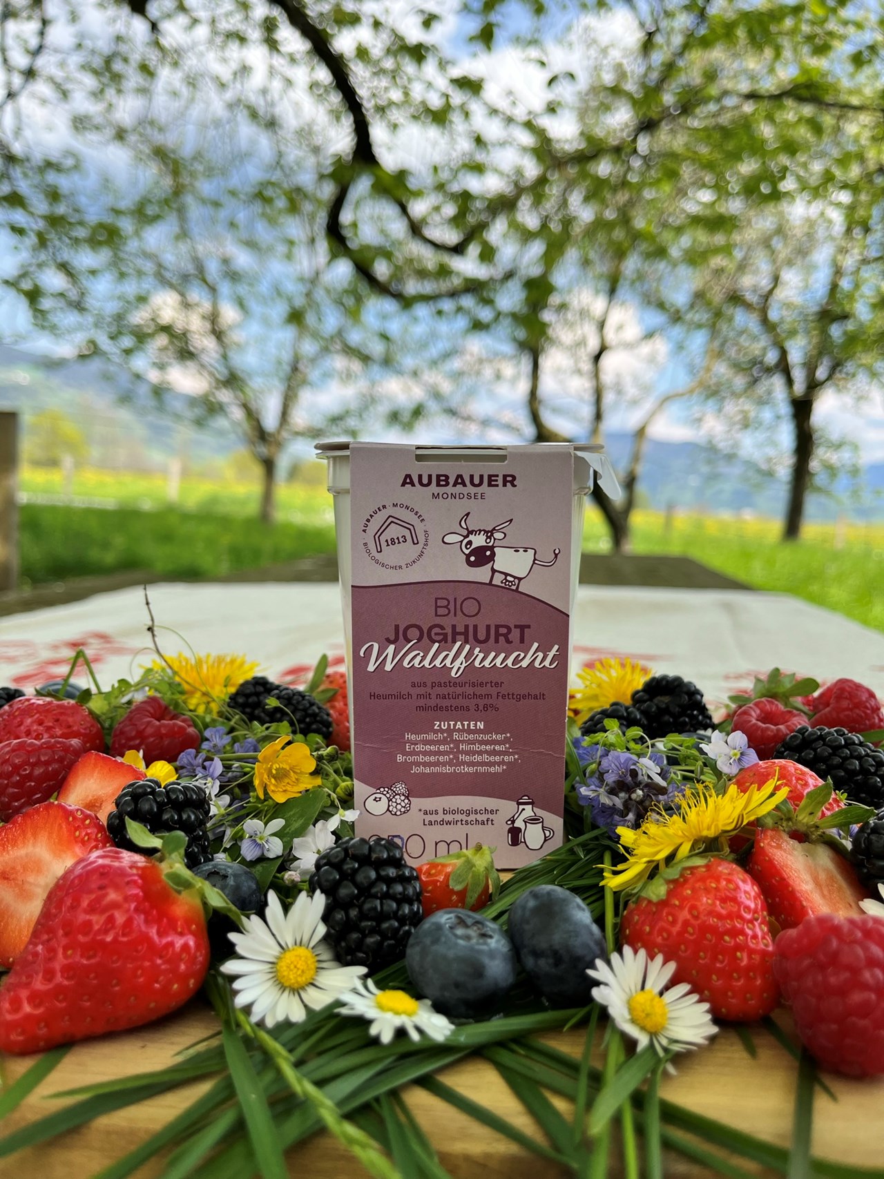 Aubauer Mondsee Produkt-Beispiele Bio Waldfruchtjoghurt