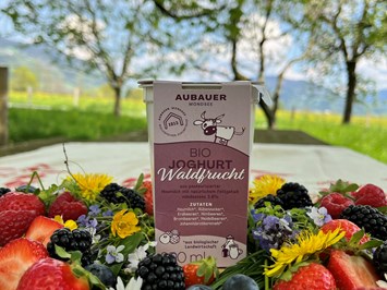 Aubauer Mondsee Produkt-Beispiele Bio Waldfruchtjoghurt