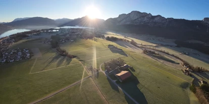 Händler - PLZ 5300 (Österreich) - Aubauer Mondsee
