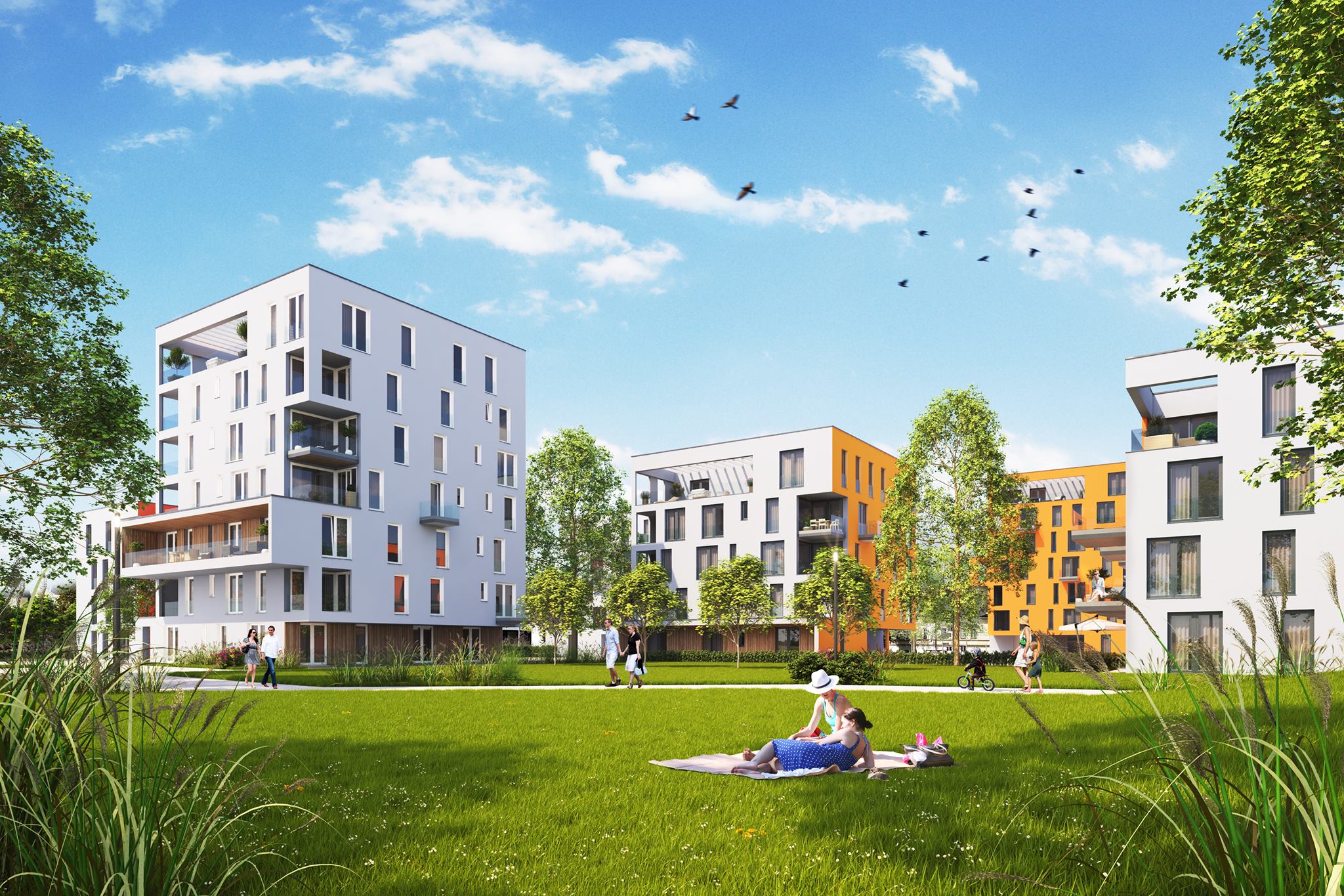 Händler - Salzburg-Umgebung - Eigentumswohnungen in Salzburg und Umgebung zu kaufen - Team Rauscher Immobilien Salzburg