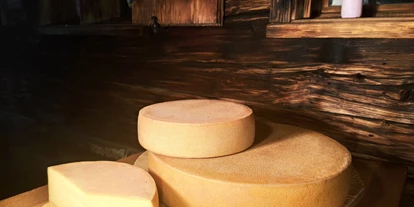 Händler - Bezirk Bregenz - Butterkäse - Ur-Alp Naturprodukte