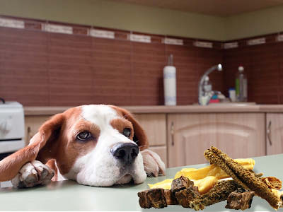 Fedor® Tiernahrung Produkt-Beispiele Fedor® dog's Lamm Mix