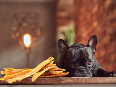 Fedor® Tiernahrung Produkt-Beispiele Fedor® dog's Hirschsehne