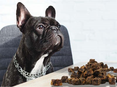 Fedor® Tiernahrung Produkt-Beispiele Fedor® dog's Würfel Fleisch Ente 