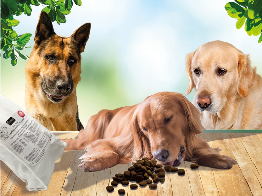Fedor® Tiernahrung Produkt-Beispiele Fedor® dog's Adult