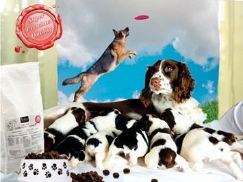 Fedor® Tiernahrung Produkt-Beispiele Fedor® dog's Active