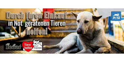 Händler - Großwilfersdorf - Das Bild zeigt einen obdachlosen armen Hund vor einer Stiege eines Einkaufszentrums. Geschrieben steht „Durch Ihren Einkauf in Not geratenen Tieren helfen!“ - Fedor® Tiernahrung