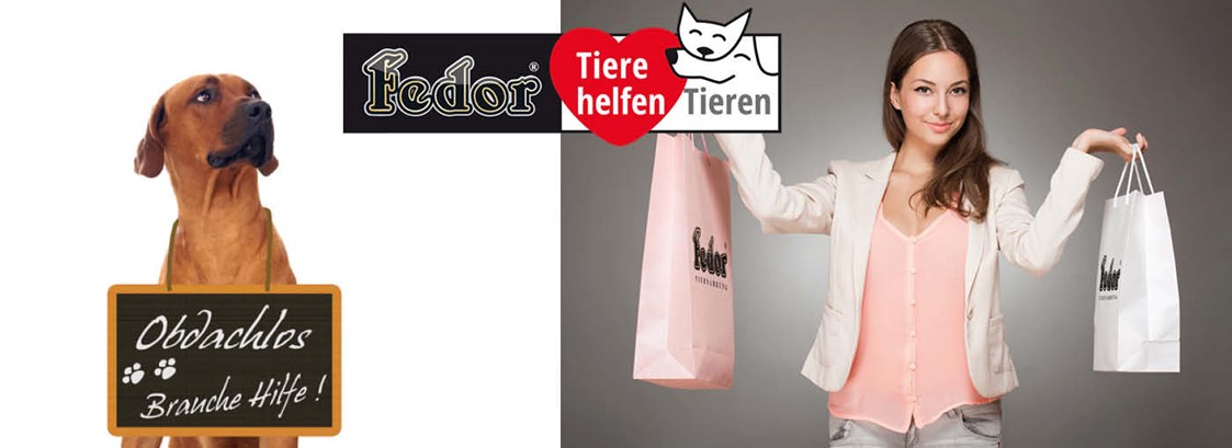 Unternehmen: Das Bild zeigt eine Frau mit zwei Einkaufstaschen in Ihren Händen. Daneben sitzt ein großer brauner Hund, der um seinen Hals eine Tafel trägt. Darauf steh geschrieben „Obdachlos – brauche dringend Hilfe!“  - Fedor® Tiernahrung