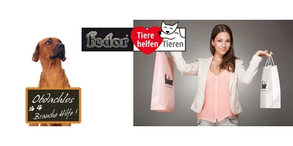 Händler - Großwilfersdorf - Das Bild zeigt eine Frau mit zwei Einkaufstaschen in Ihren Händen. Daneben sitzt ein großer brauner Hund, der um seinen Hals eine Tafel trägt. Darauf steh geschrieben „Obdachlos – brauche dringend Hilfe!“  - Fedor® Tiernahrung