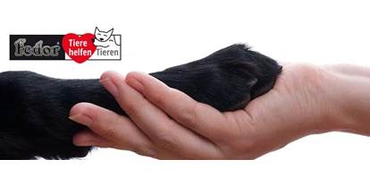Händler - Großwilfersdorf - Das Bild zeigt eine Hundepfote in einer Menschenhand gehalten. Daneben das Logo des Charity-Projekts von Fedor® Tieren helfen Tieren! - Fedor® Tiernahrung
