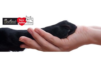 Unternehmen: Das Bild zeigt eine Hundepfote in einer Menschenhand gehalten. Daneben das Logo des Charity-Projekts von Fedor® Tieren helfen Tieren! - Fedor® Tiernahrung