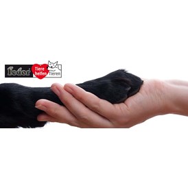 Unternehmen: Das Bild zeigt eine Hundepfote in einer Menschenhand gehalten. Daneben das Logo des Charity-Projekts von Fedor® Tieren helfen Tieren! - Fedor® Tiernahrung
