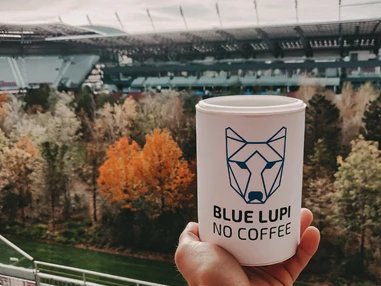 Unternehmen: Produktbild  - Bluelupi