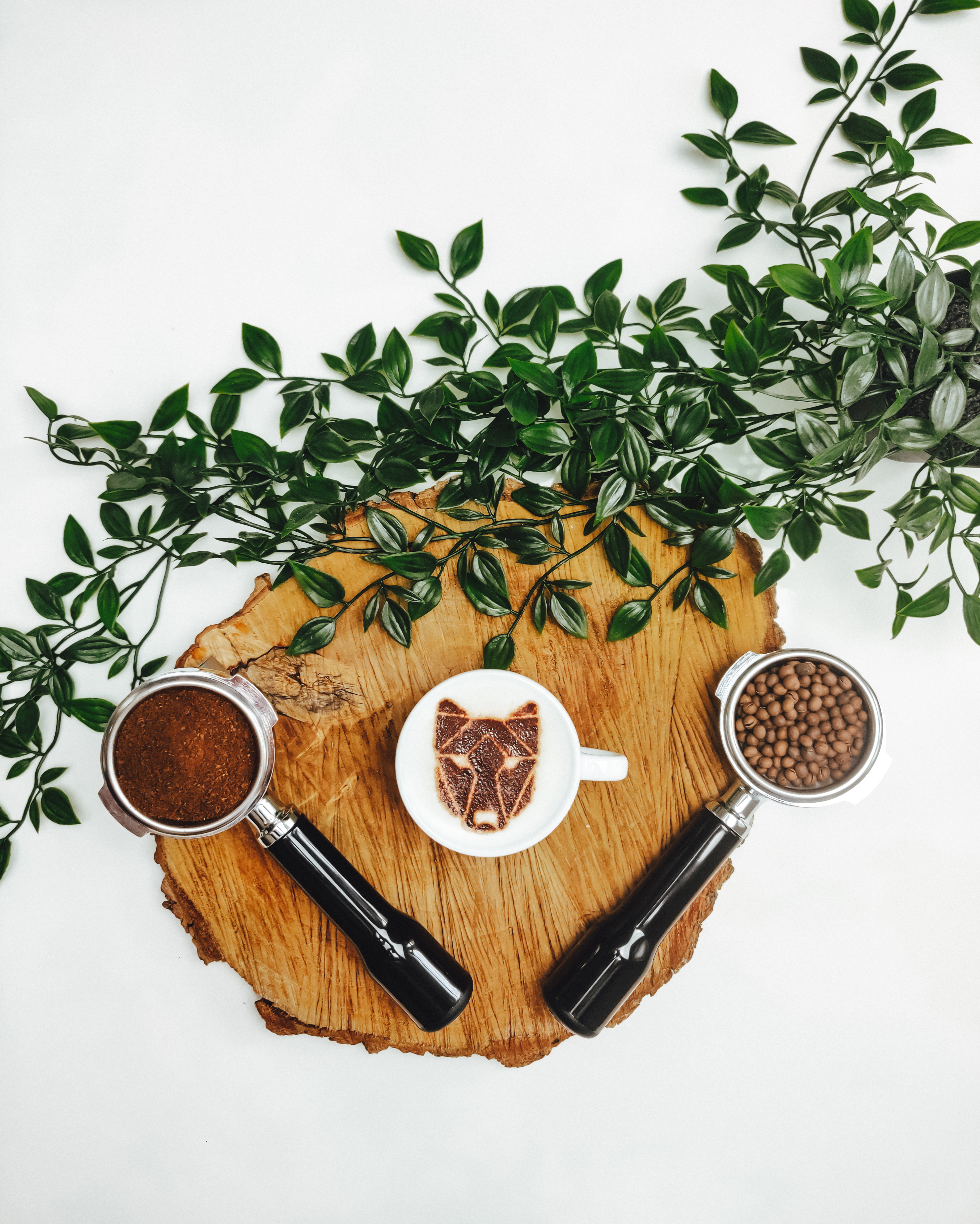 Händler - Bezirk Klagenfurt - Zubereitung über Siebträger - Bluelupi