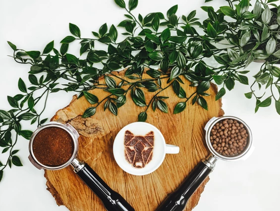 Unternehmen: Zubereitung über Siebträger - Bluelupi