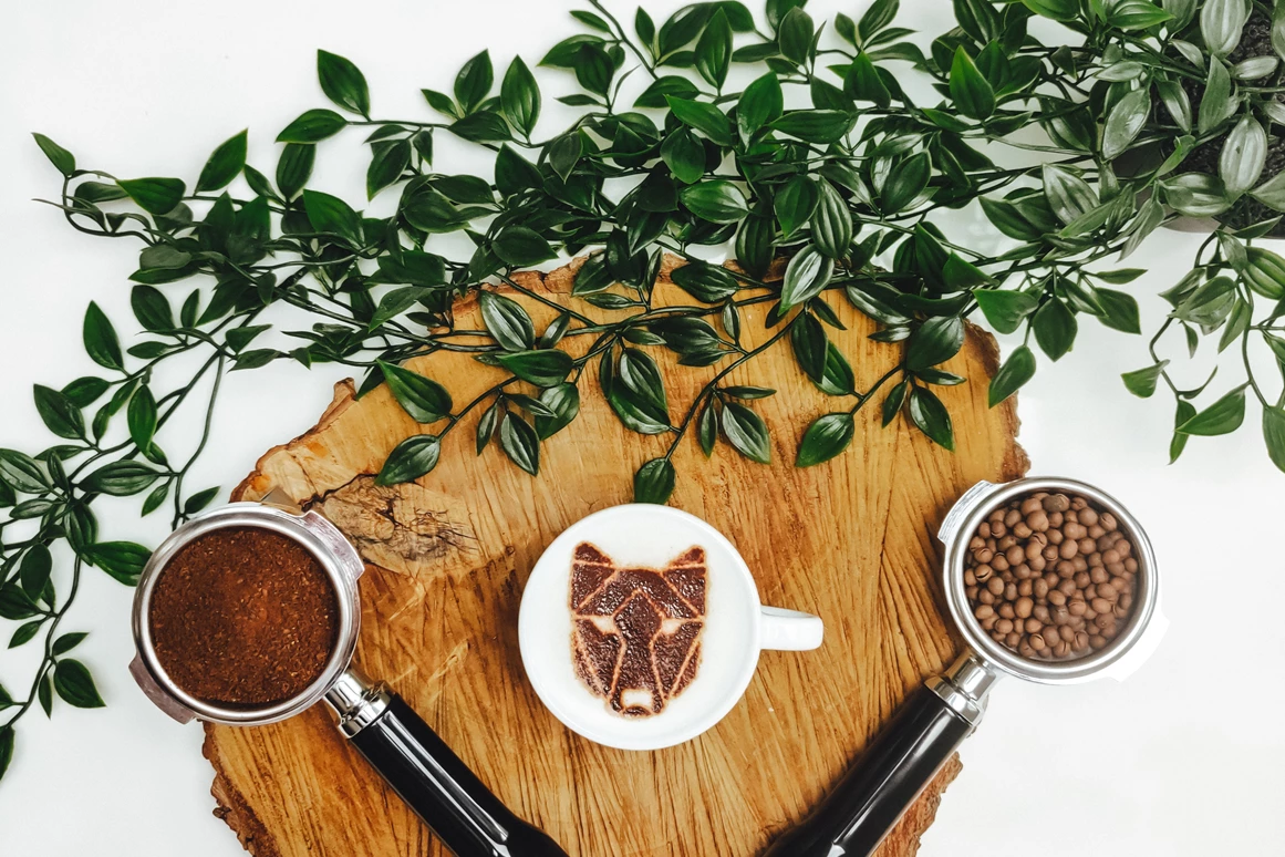 Unternehmen: Zubereitung über Siebträger - Bluelupi