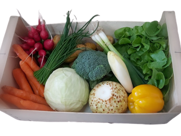 RegioVital Produkt-Beispiele Gemüsekisterl