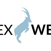 Dienstleistung: Ibex Web GmbH