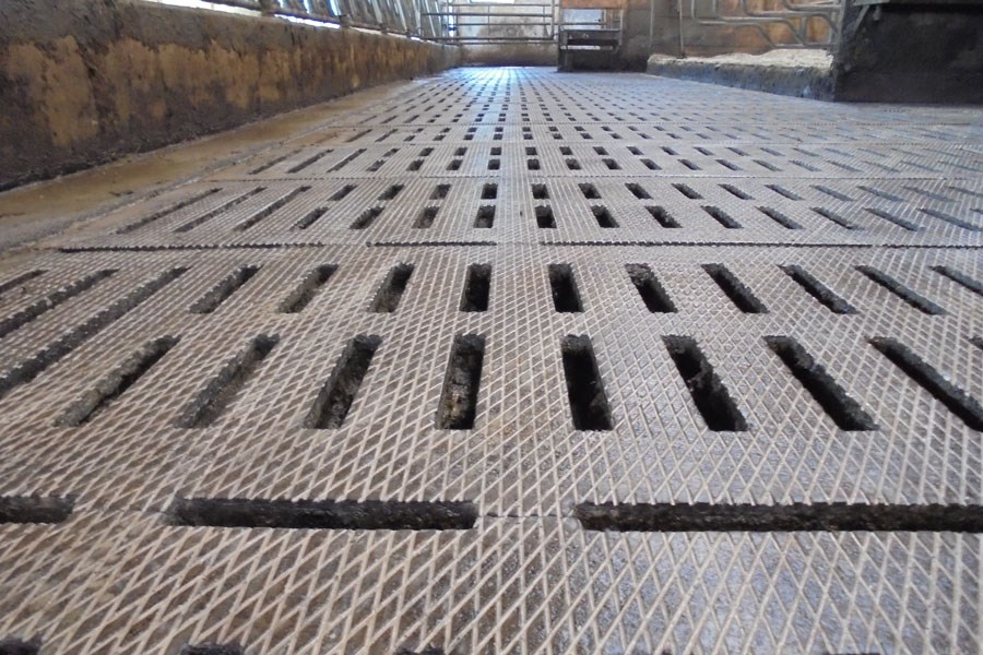 Zass – Stallbodensanierung Leistungsübersicht Stallboden Sanierung