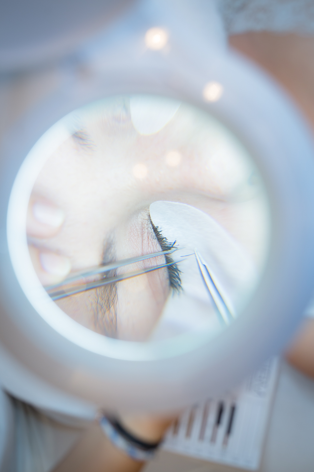 Händler - Palting - Wimpernverlängerunug - Feel Free Feel Good