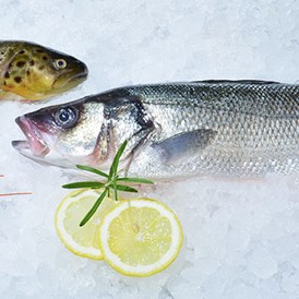Unternehmen: Frischer Fisch, Meeresfrüchte, Tartar und diverse Salate. - Julius Meinl am Graben
