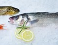 Unternehmen: Frischer Fisch, Meeresfrüchte, Tartar und diverse Salate. - Julius Meinl am Graben