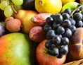 Unternehmen: Frisches Obst und Gemüse - saisonale, regionale, exotische und außergewöhnliche Sorten.  - Julius Meinl am Graben