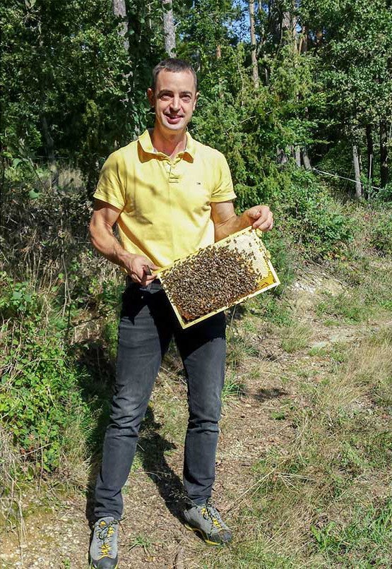 Händler - Brandenberg - Bio Waldhonig 100g von Bio-Imkerei Kordesch