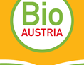 Artikel: Bio Blütenhonig 1.000g von Bio-Imkerei Fuchssteiner