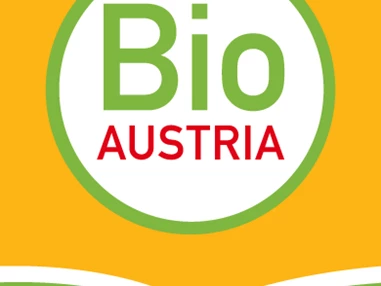 Artikel: Bio Blütencremehonig 250g von Bio-Imkerei Blütenstaub