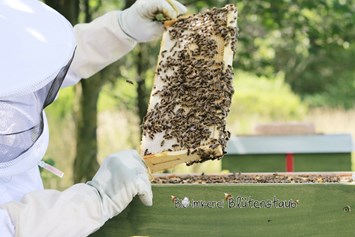 Artikel: Teelicht Bienenwachs von Bio-Imkerei Blütenstaub
