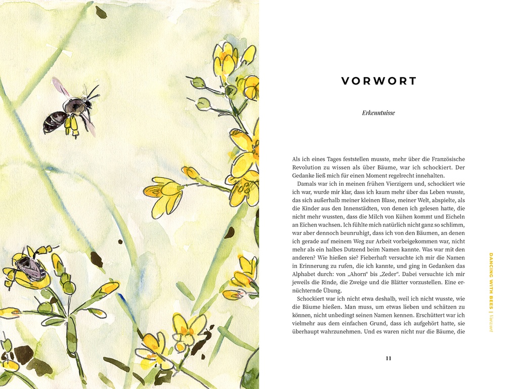 Artikel: Dancing with Bees von Löwenzahn Verlag
