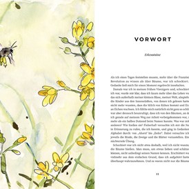 Artikel: Dancing with Bees von Löwenzahn Verlag