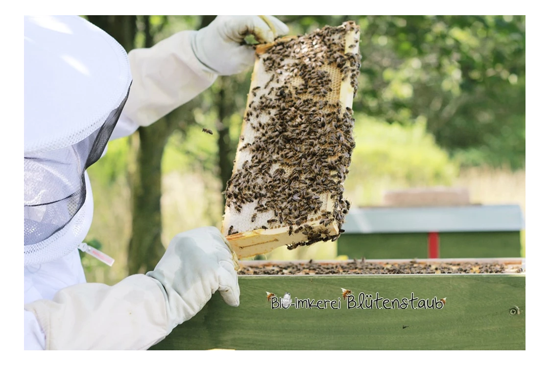 Artikel: Ostergeschenkkarton Honig (L) mit feinsten Bio Honig von Bio-Imkerei Blütenstaub