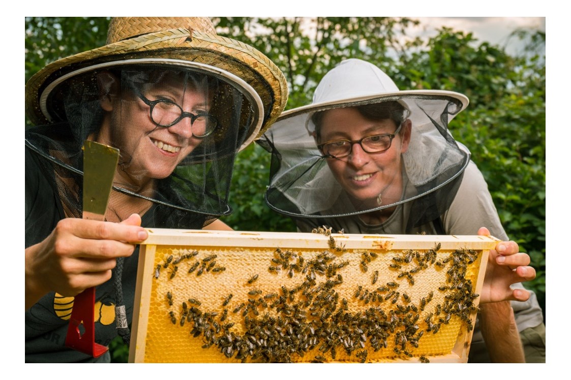 Artikel: Bienenwachstuch 30x30cm von Bio-Imkerei Auhonig