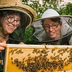 Artikel: Naturseife mit Honig 100g von Bio-Imkerei Auhonig