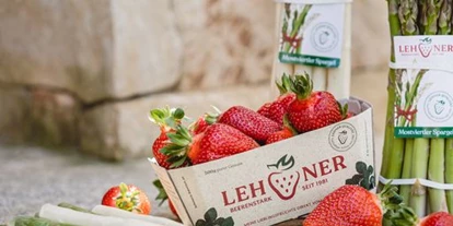 Händler - PLZ 5161 (Österreich) - Lehner Beerenstadl Elsbethen - Lehner Beeren GmbH