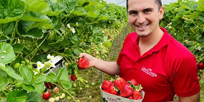 Händler - PLZ 5161 (Österreich) - Lehner Beerenstadl Elsbethen - Lehner Beeren GmbH