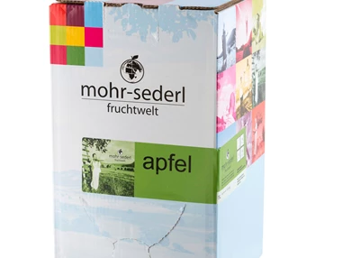 Artikel: 5 Liter aromatischer Apfelsaft, naturtrüb, aus Streuobst - Apfelsaft, 5 L Fruchtbox