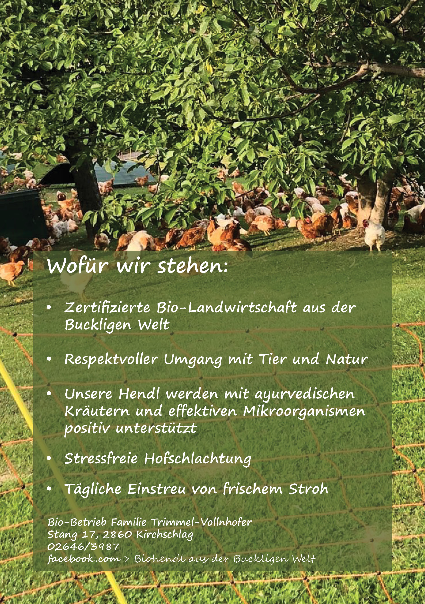 Bio-Hühner Produkt-Beispiele Bio-Hühner (bratfertig- im Ganzen)