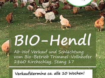 Bio-Hühner Produkt-Beispiele Bio-Hühner ( bratfertig - im Ganzen)