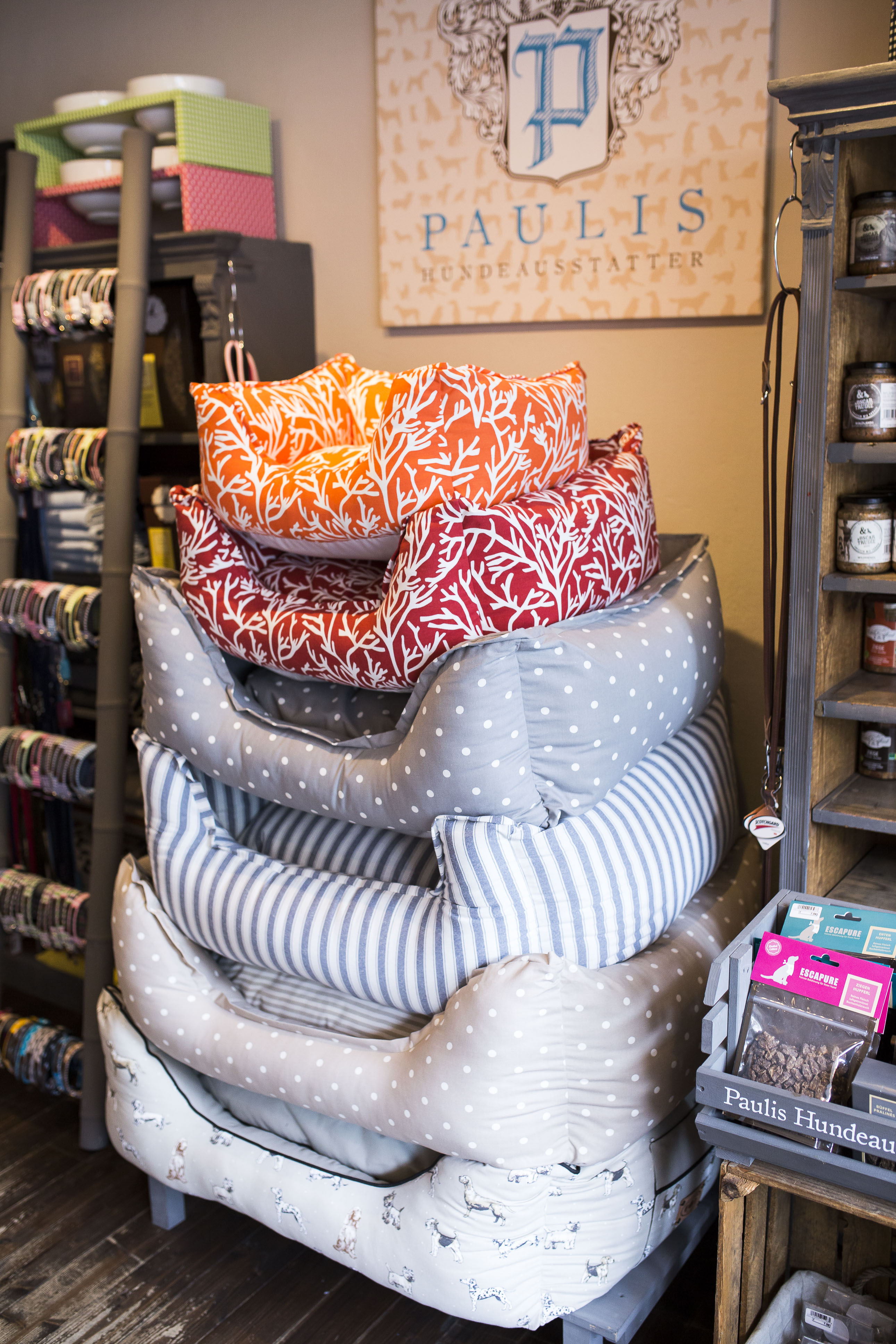 Unternehmen: Paulis Hundeausstatter 