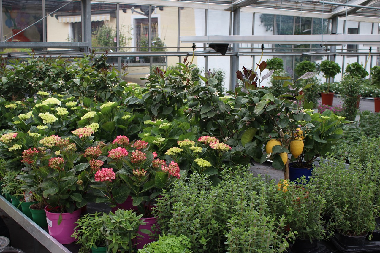 Fuchsberger - Feines Blütenhandwerk Produkt-Beispiele Alles rund um Haus und Garten