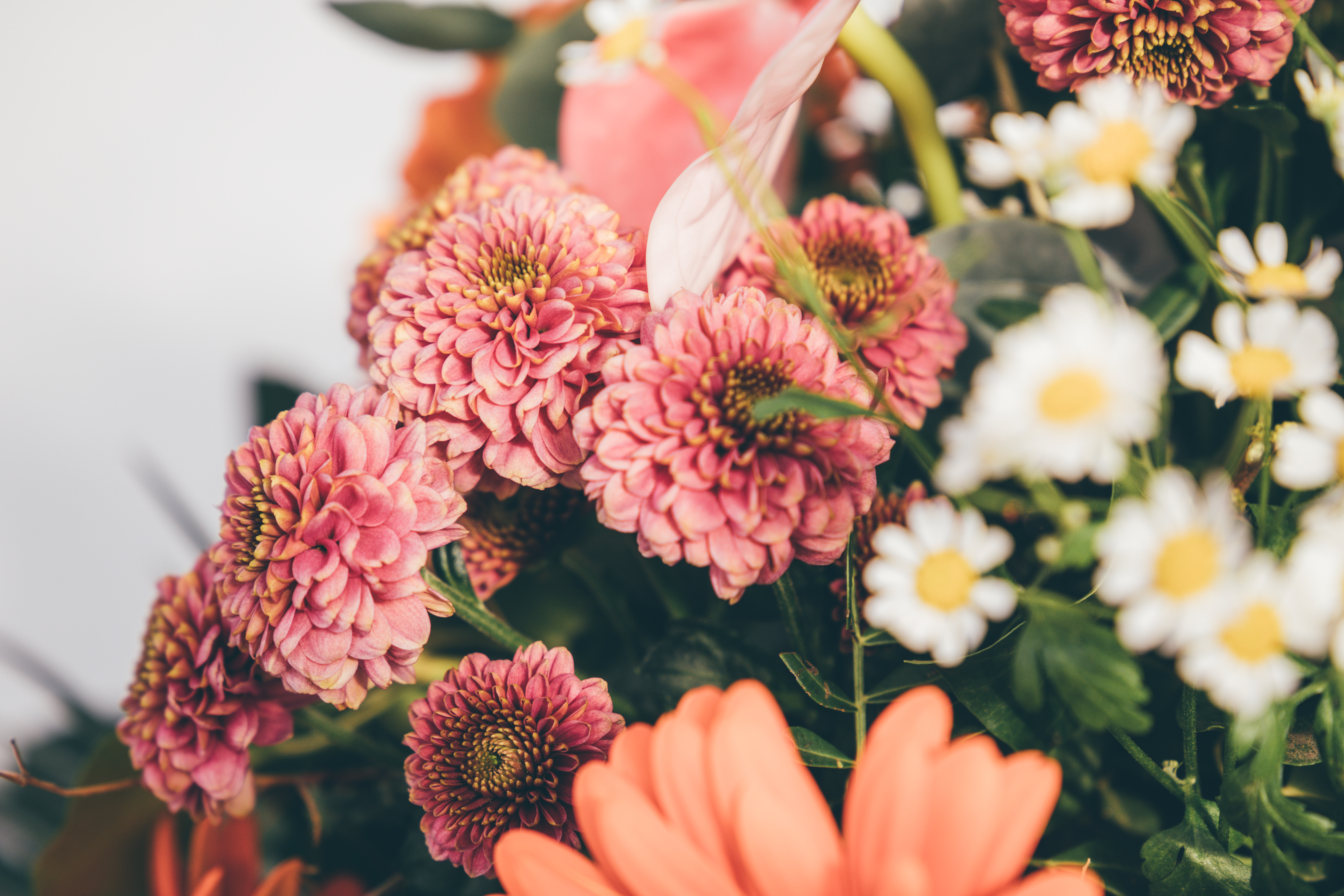 Händler - Hallwang (Hallwang) - Fuchsberger - Feines Blütenhandwerk