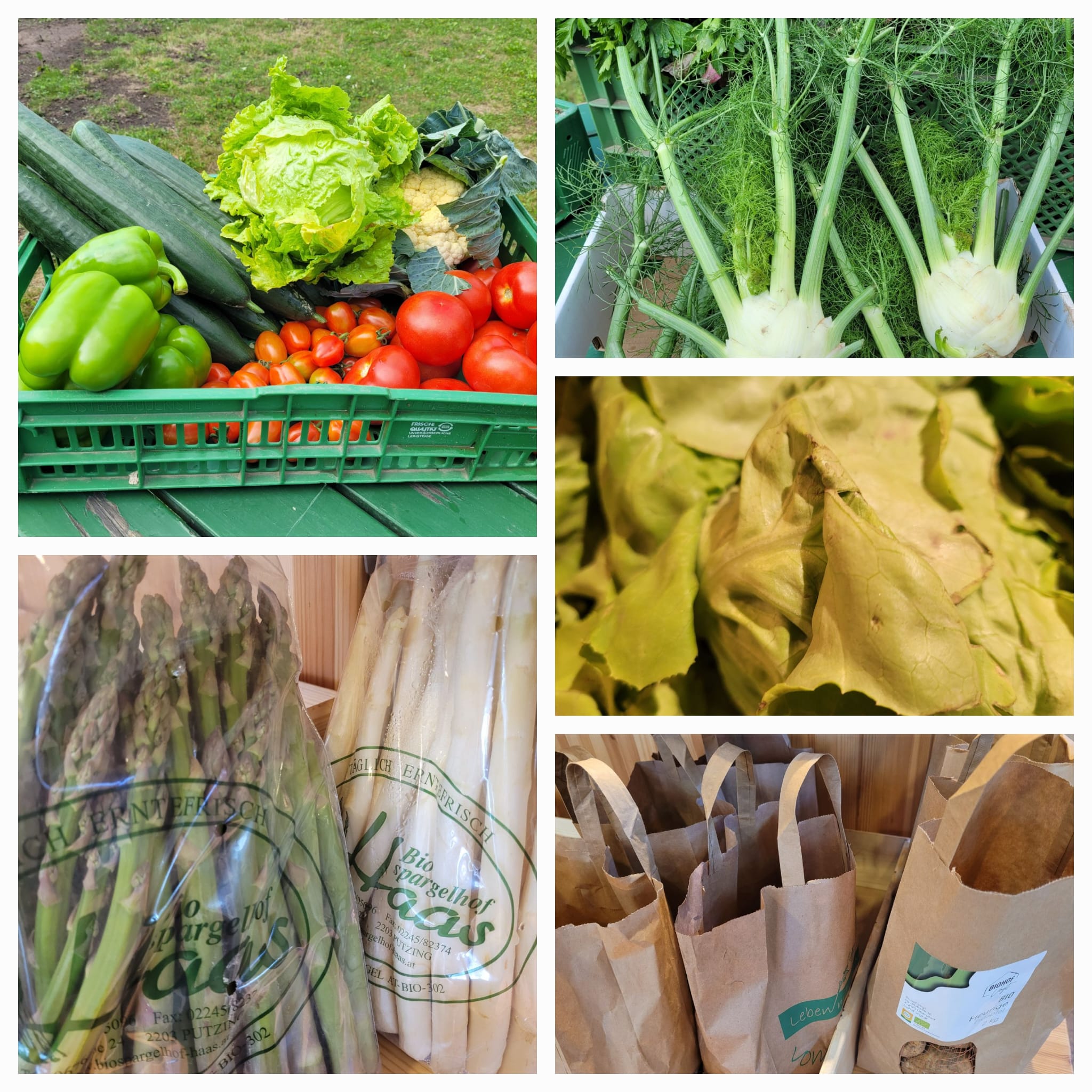 Bauerngreißlerei Obersdorf Produkt-Beispiele Saisonales Gemüse