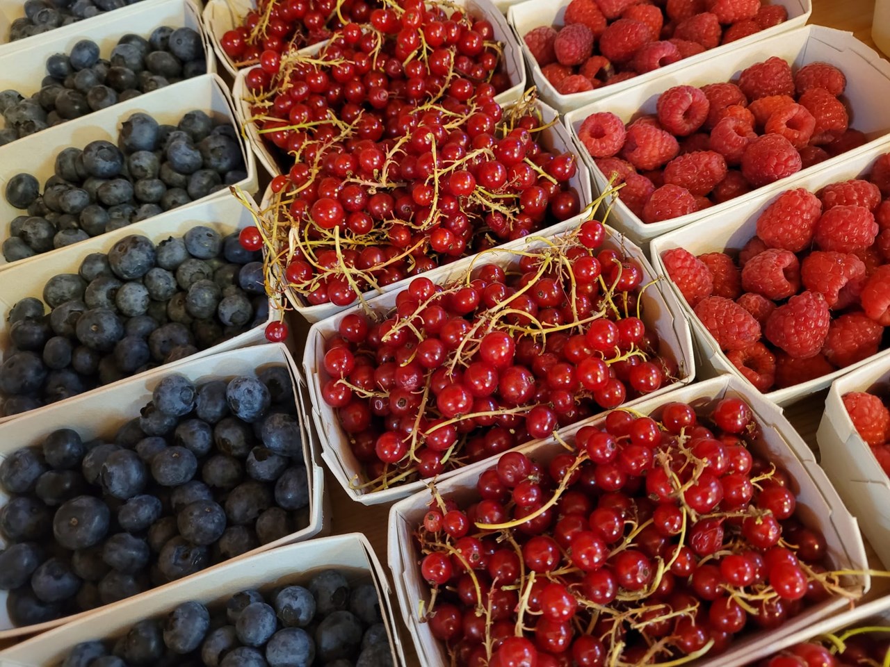 Bauerngreißlerei Obersdorf Produkt-Beispiele Saisonales Obst