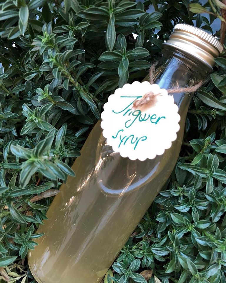 Unternehmen: Agora 1777