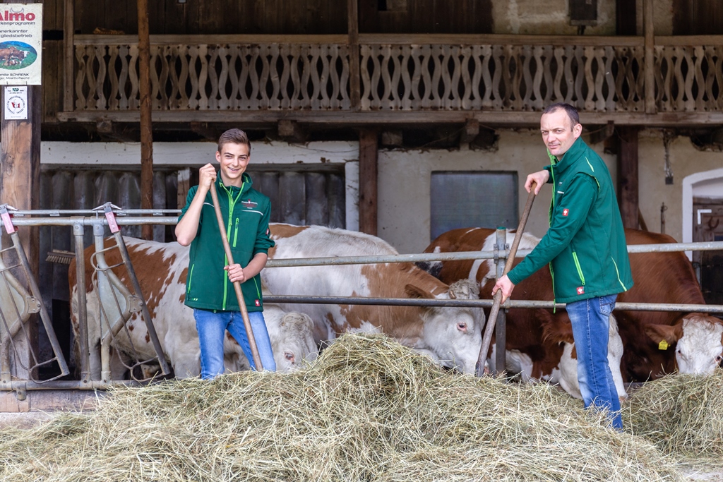 Händler - Steiermark - Robert Schrenk mit Sohn Mathias beim füttern der ALMO Ochsen - Moarhofhechtl Fa. Schrenk, Teigwaren-Freilandeier-Hofladen