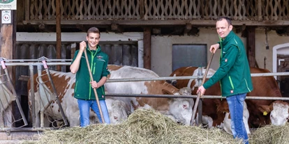 Händler - PLZ 8200 (Österreich) - Robert Schrenk mit Sohn Mathias beim füttern der ALMO Ochsen - Moarhofhechtl Fa. Schrenk, Teigwaren-Freilandeier-Hofladen