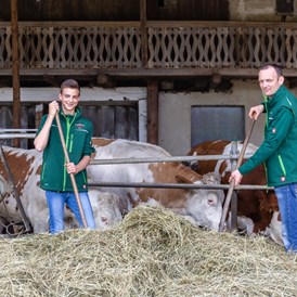 Unternehmen: Robert Schrenk mit Sohn Mathias beim füttern der ALMO Ochsen - Moarhofhechtl Fa. Schrenk, Teigwaren-Freilandeier-Hofladen